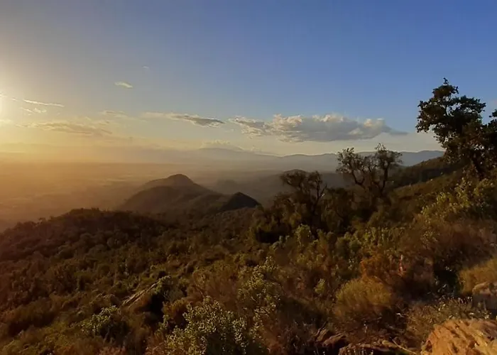 & Panoramic Olivars Pau