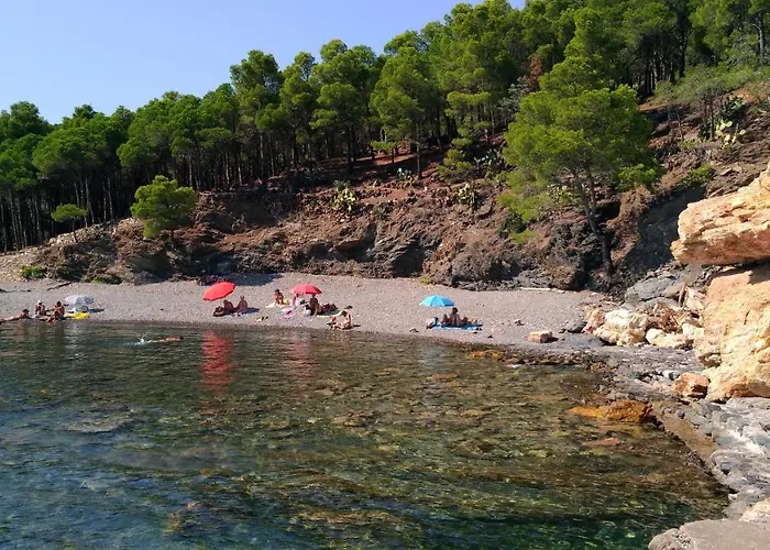 Bed & Breakfast & Panoramic Olivars 3*